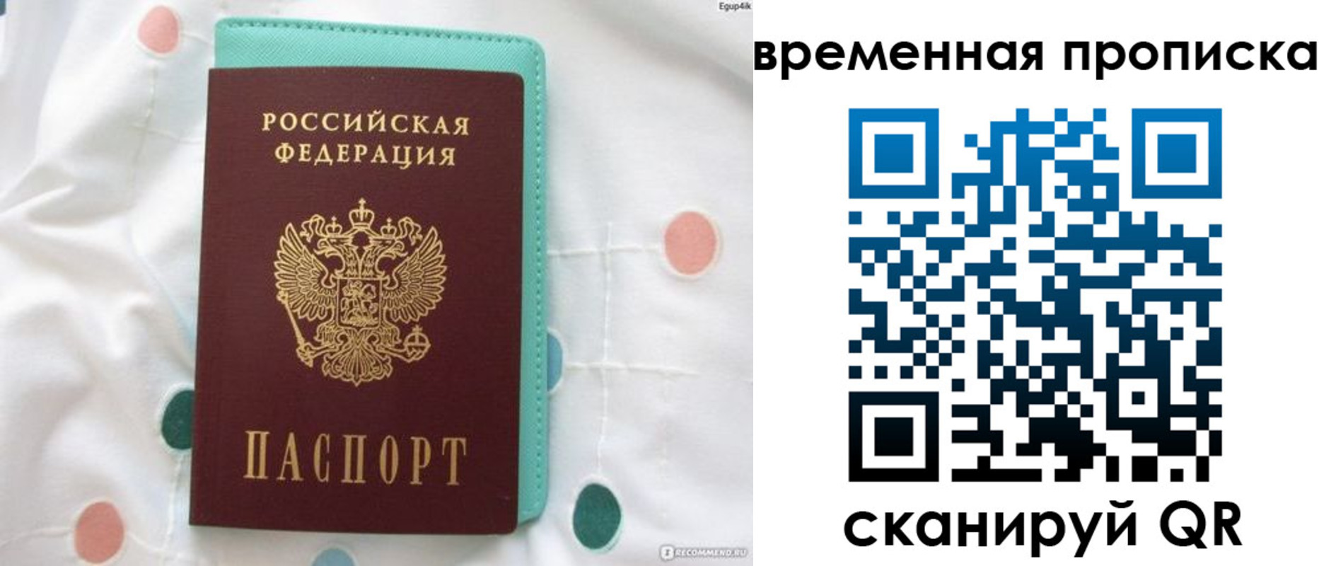 прописка поиск в Сальске